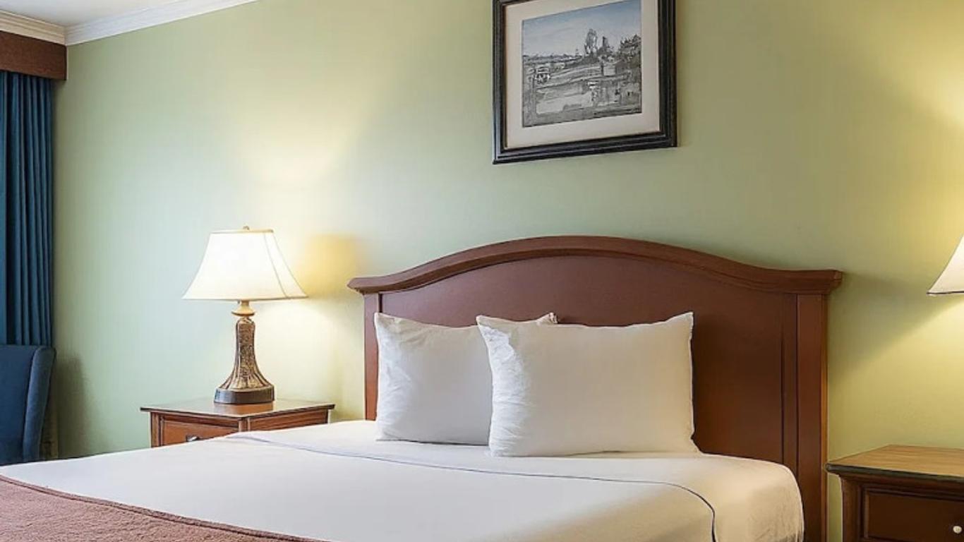 Midtown Inn
